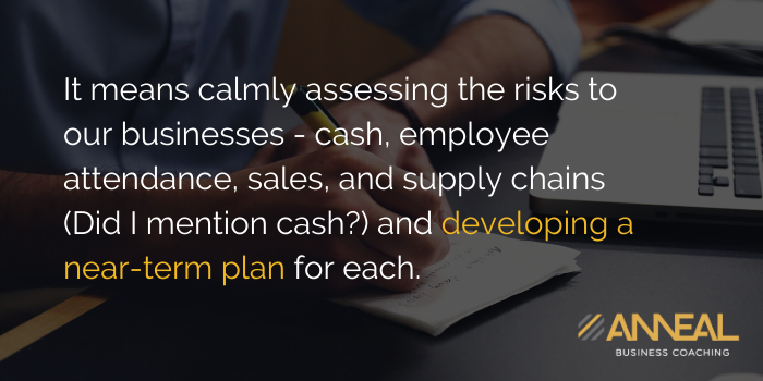 Martin Holland Anneal Business Coaching - It means calmly assessing the risks to our businesses - cash, employee attendance, sales, and supply chains, and developing a near-term plan for each
