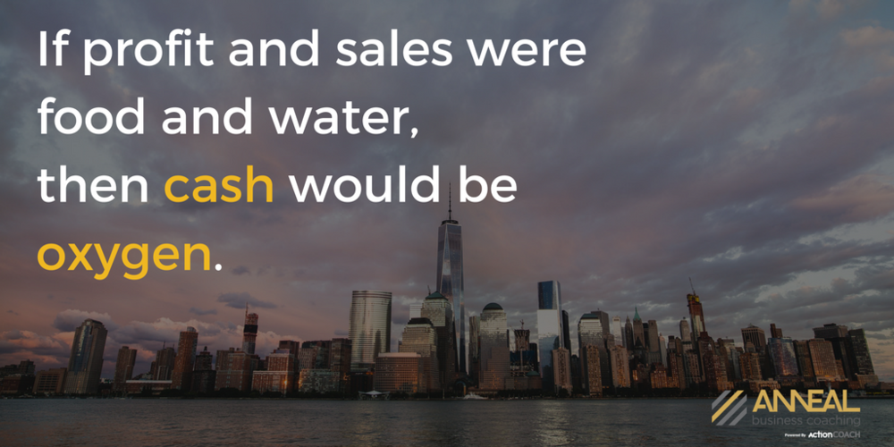 Anneal Business Coaching quote graphic from Martin Holland over a city skyline, reading "If profit and sales were food and water, then cash would be oxygen.