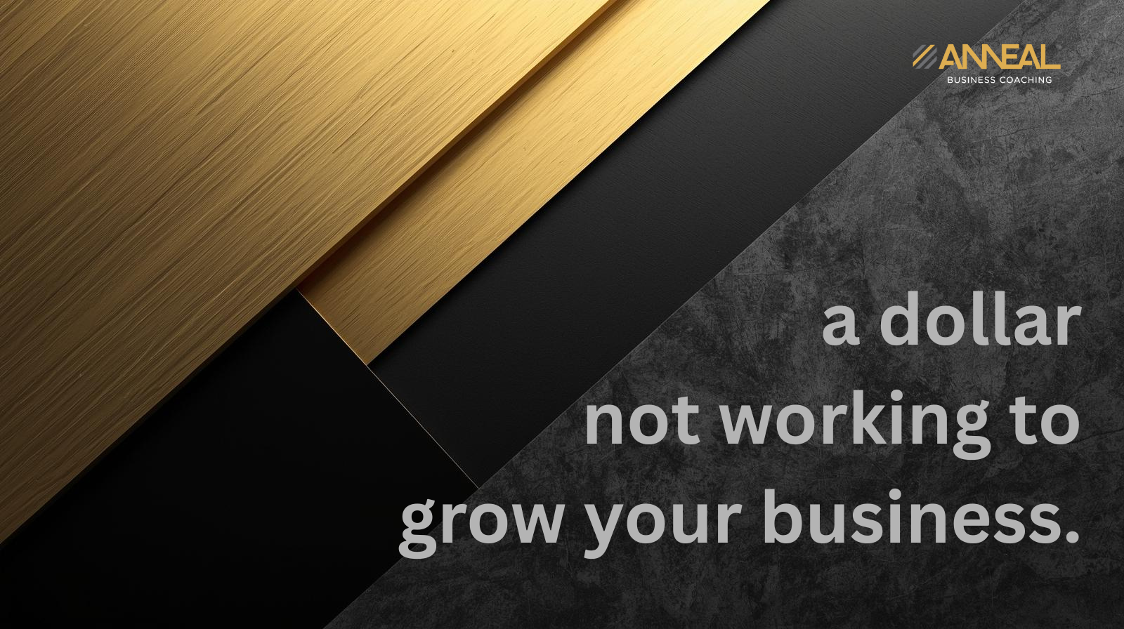 Martin Holland and Anneal Business Coaching on business financial management: Every dollar sitting in a low-interest savings account is a dollar not working to grow your business.