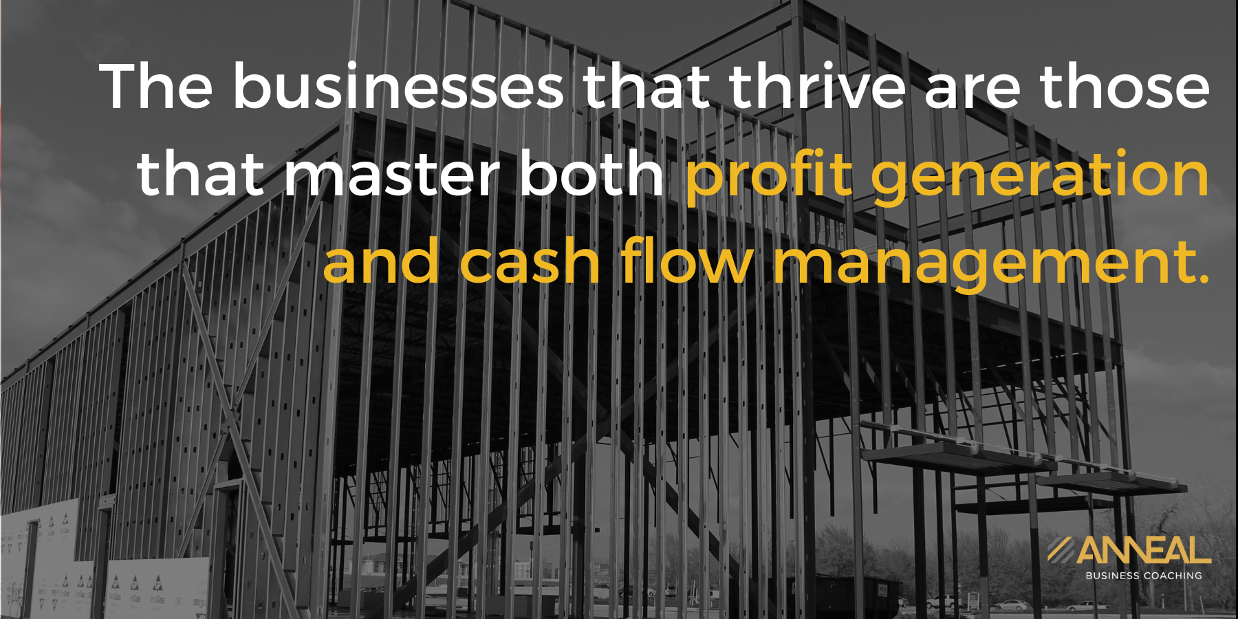 Martin Holland businesses that thrive master profit generation and cash flow management Anneal Business Coaching