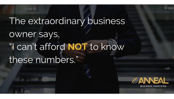 Martin Holland extraordinary business owner know numbers profit discipline business financial management Anneal Business Coaching