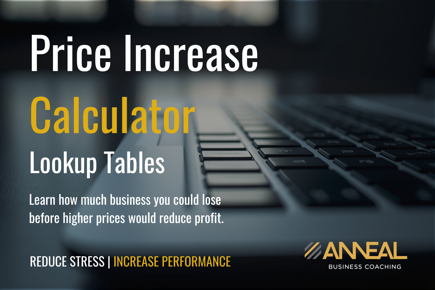 Price increase calculator anneal business coaching.png