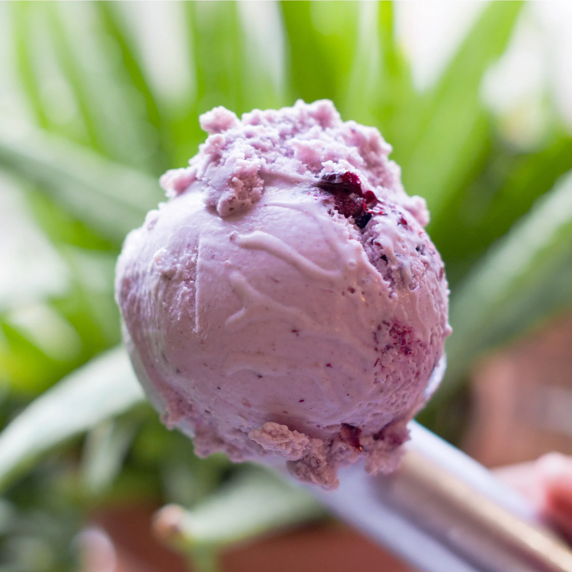 Black Milq Blueberry Ice Cream. Plant-based. Vegan