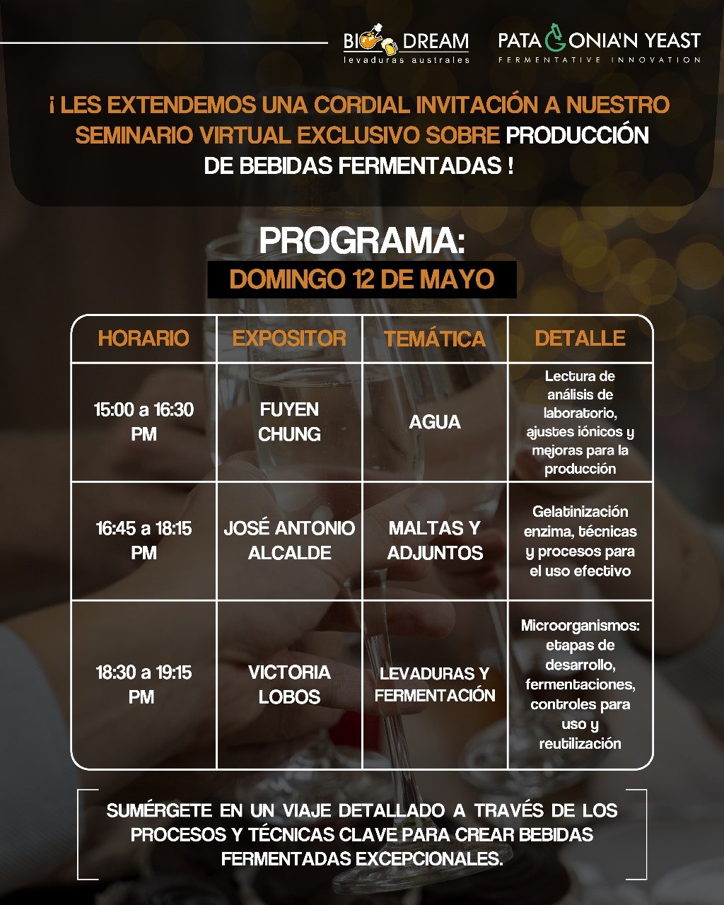 Programa seminario virtual 2024..jpeg