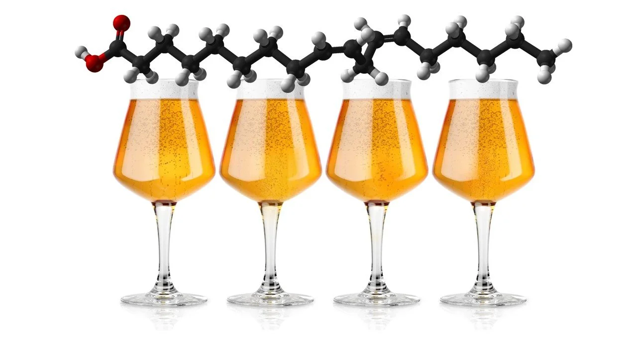 El ácido linoleico en la cerveza.jpg