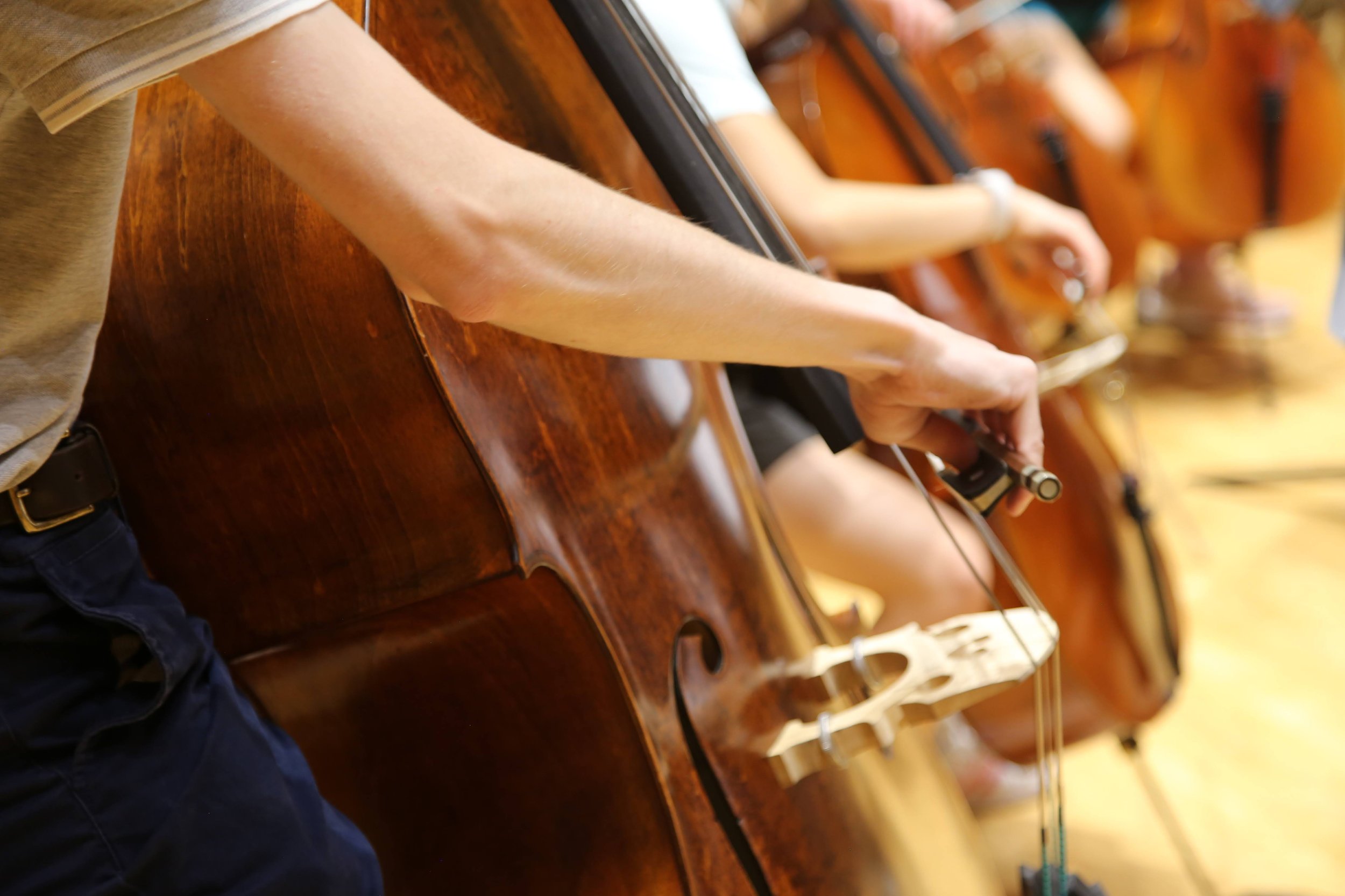 CCMF 2026 Application Ticket