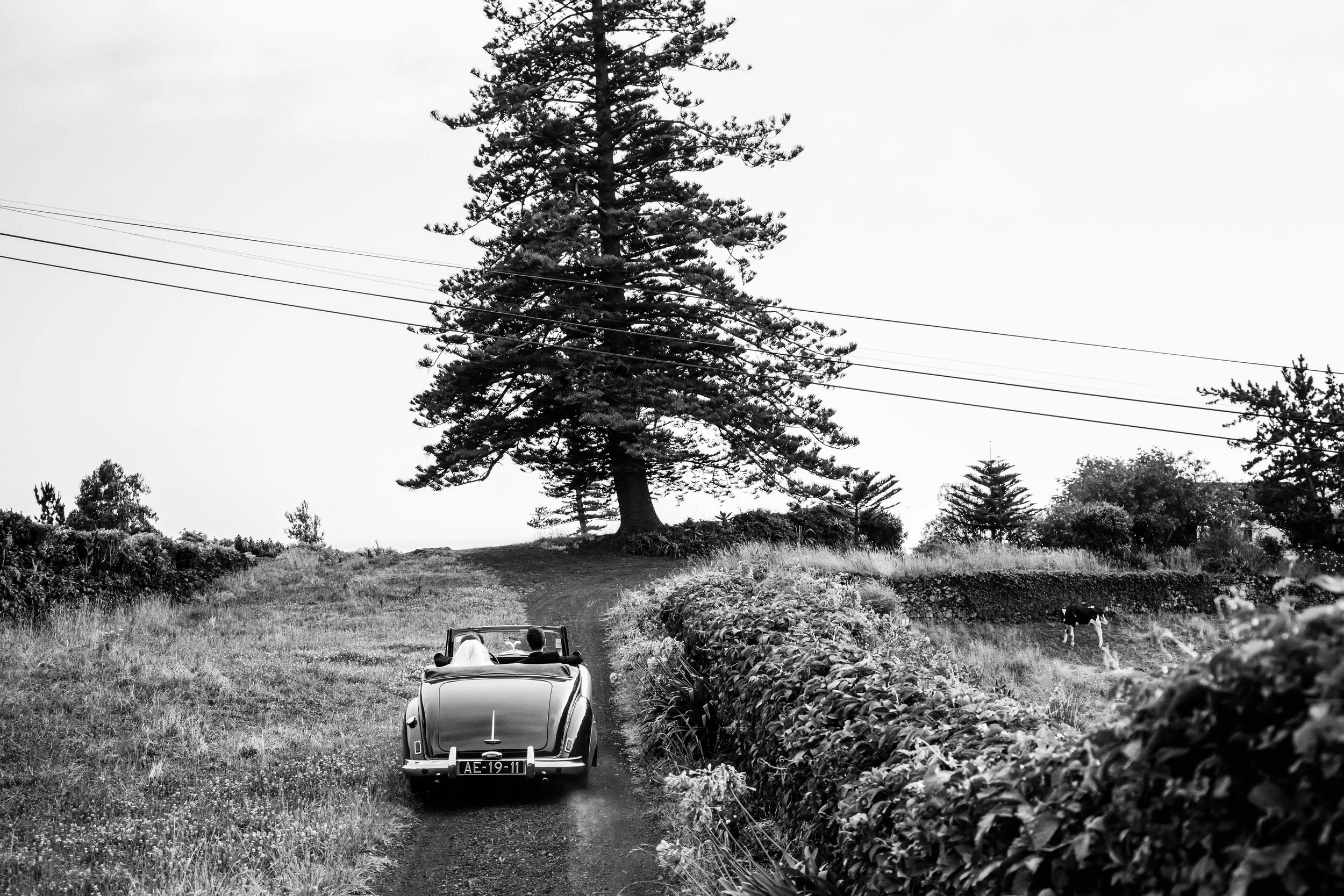 deambulando_besf of-15.jpg