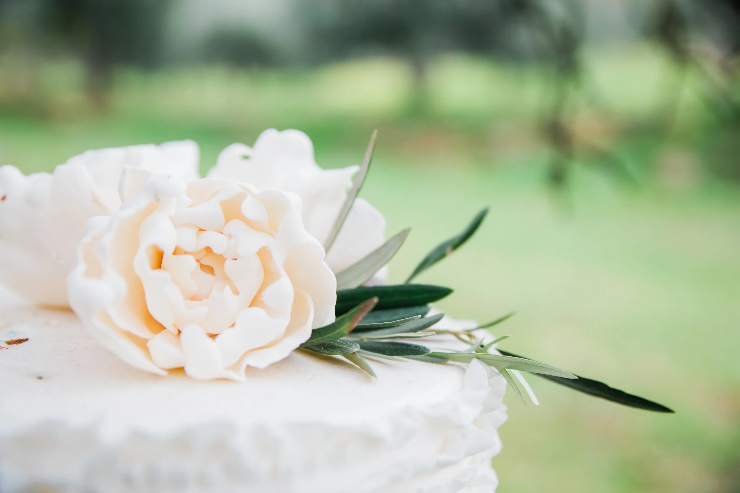 editorial_nova ediçao-3.jpg