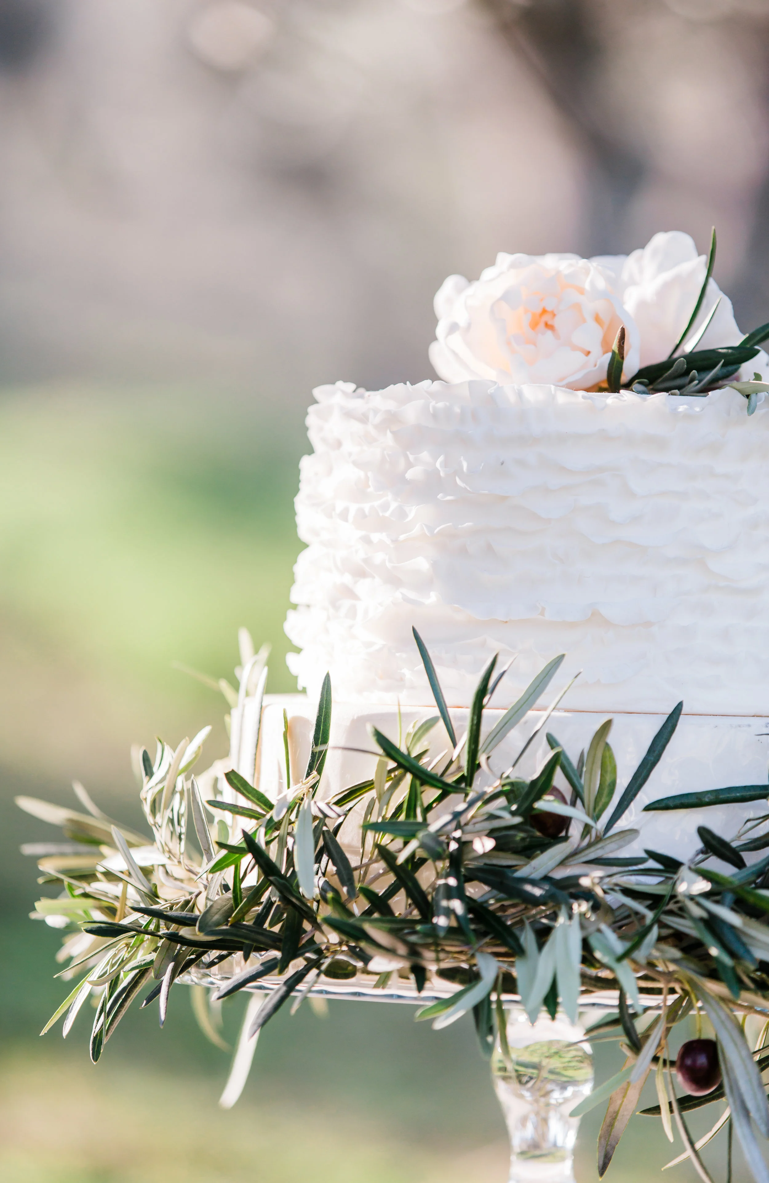 editorial_nova ediçao-9.jpg