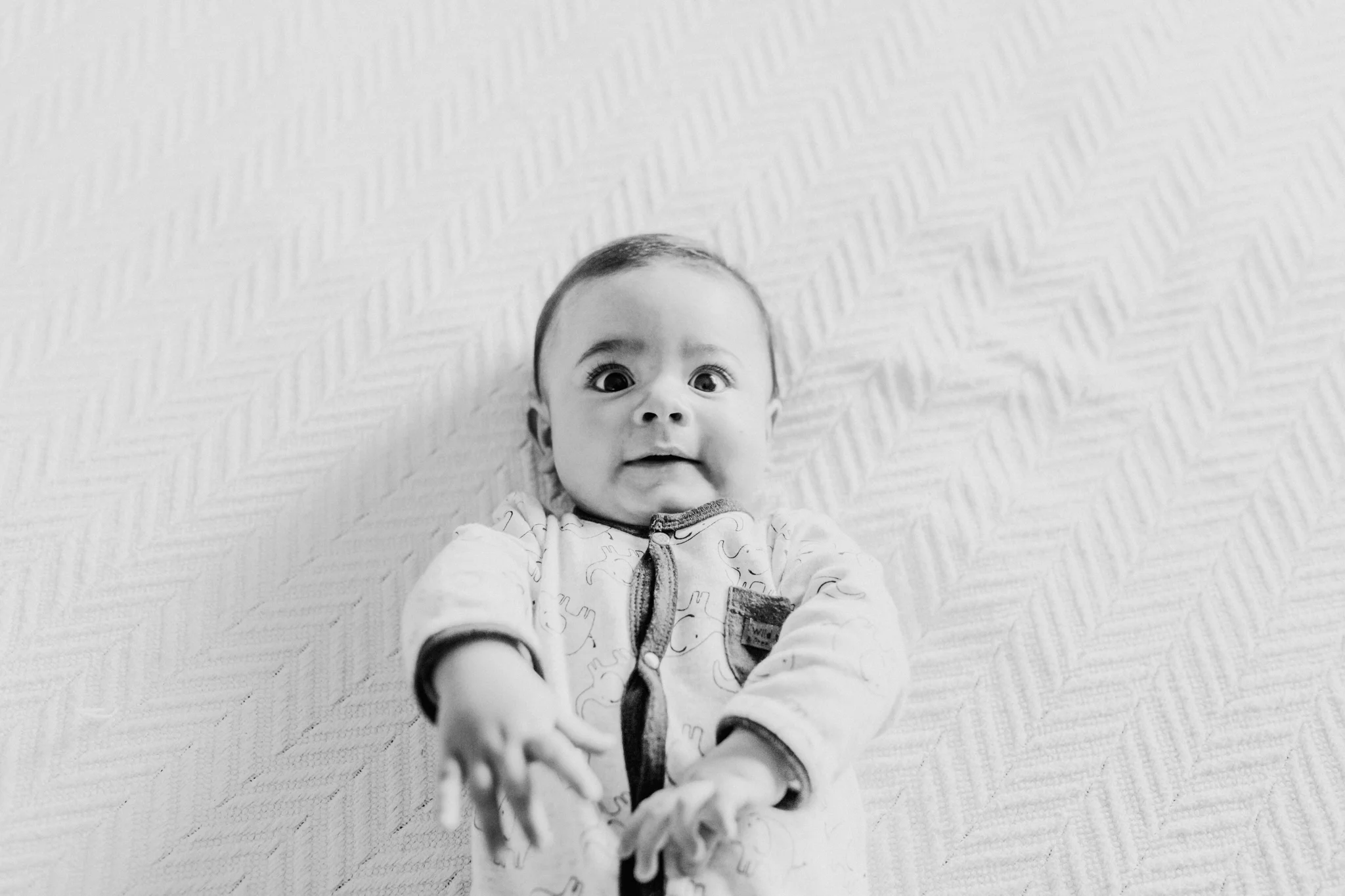 clarinha e lourenço_web-6.jpg