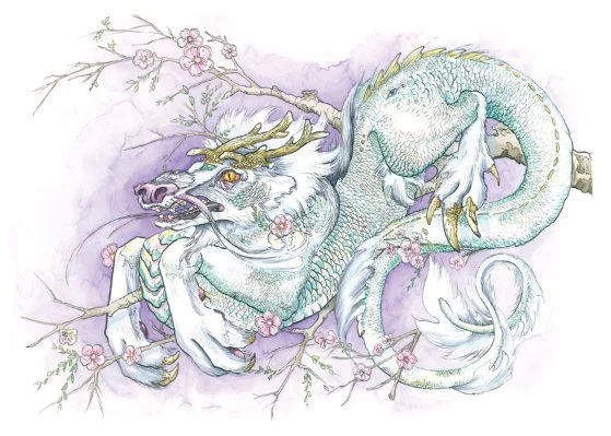 Cherry Blossom Dragon