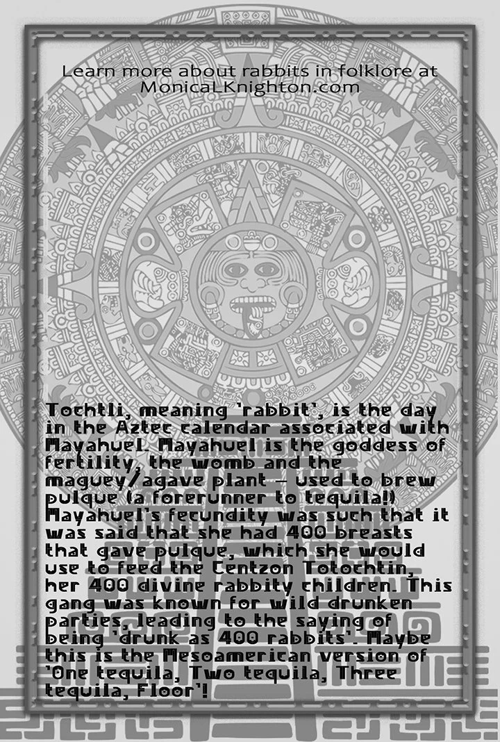 Tochtli Backing Card Reverse BW Kick.jpg