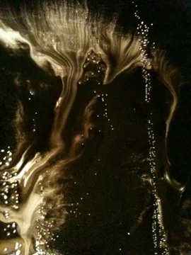Davis_KSB_sumi_study_original4.jpg