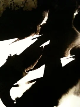 Davis_KSB_sumi_study_original7.jpg