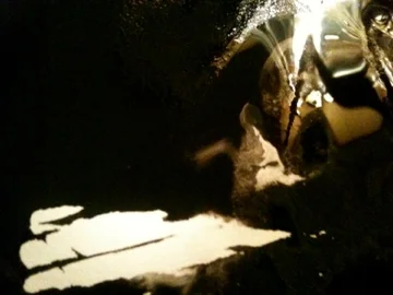 Davis_KSB_sumi_study_original11.jpg