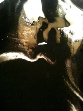 Davis_KSB_sumi_study_original12.jpg