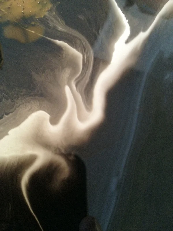 Davis_KSB_sumi_study_original16_med.jpg