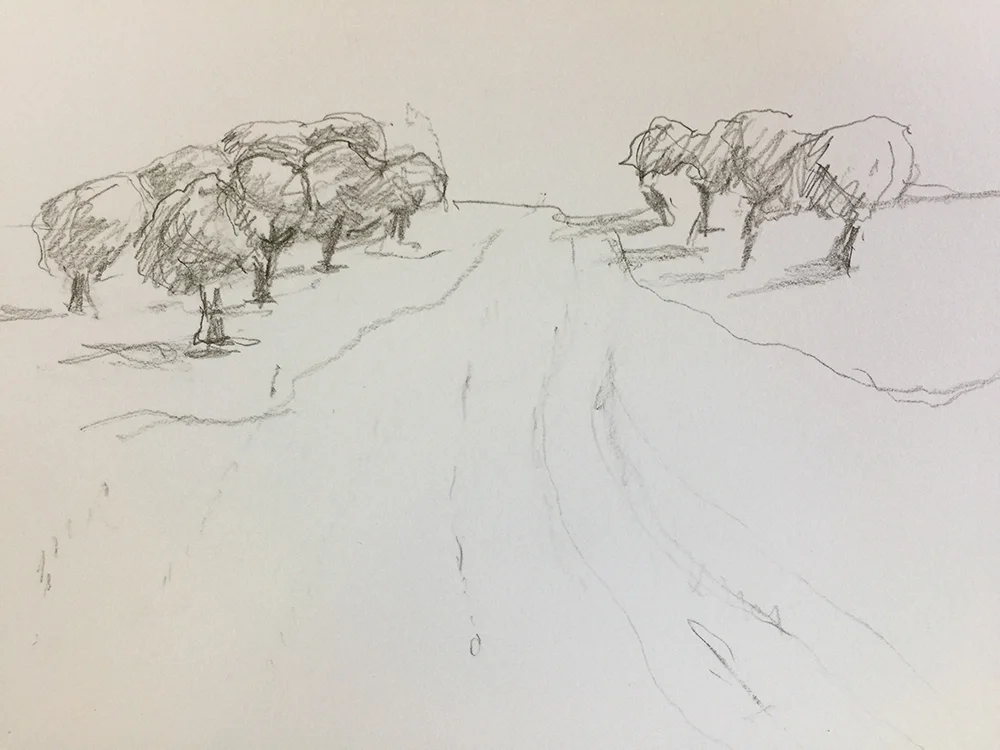 illustration, orchard