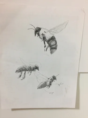 sketch_bee12_l.jpg