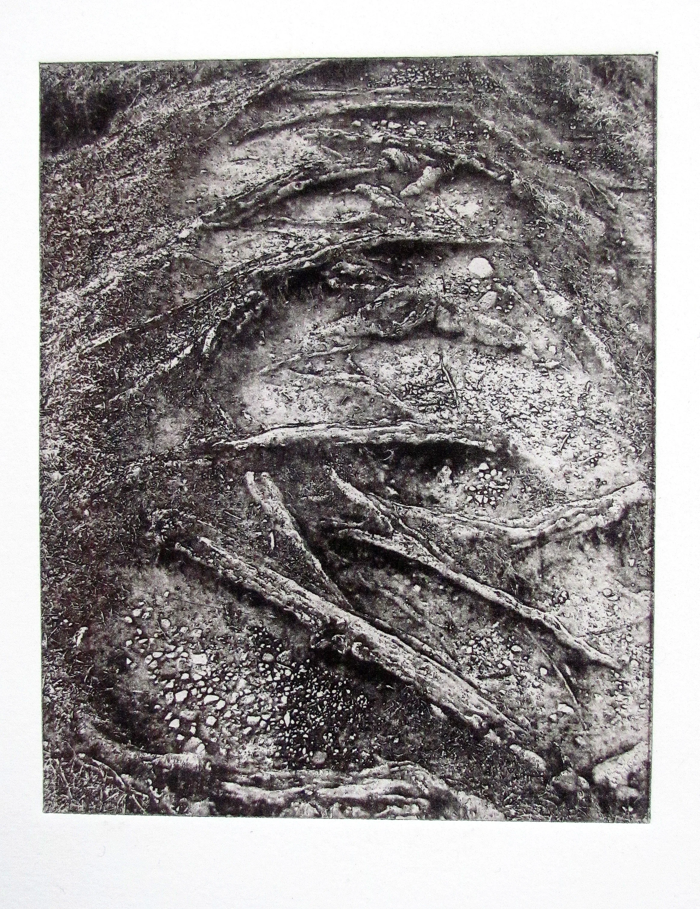 Fairie Fort, Ireland