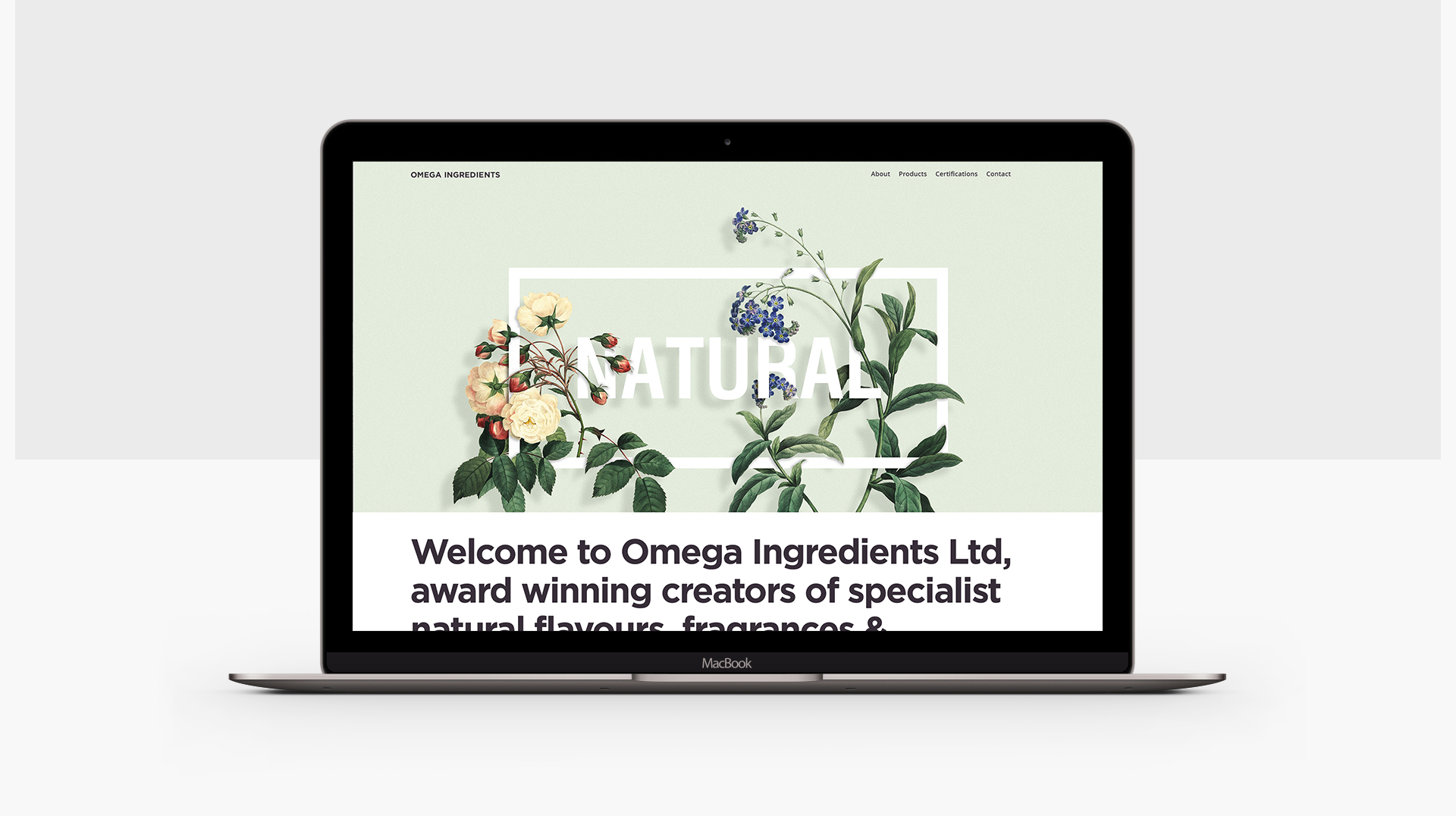 omega-web-001.jpg