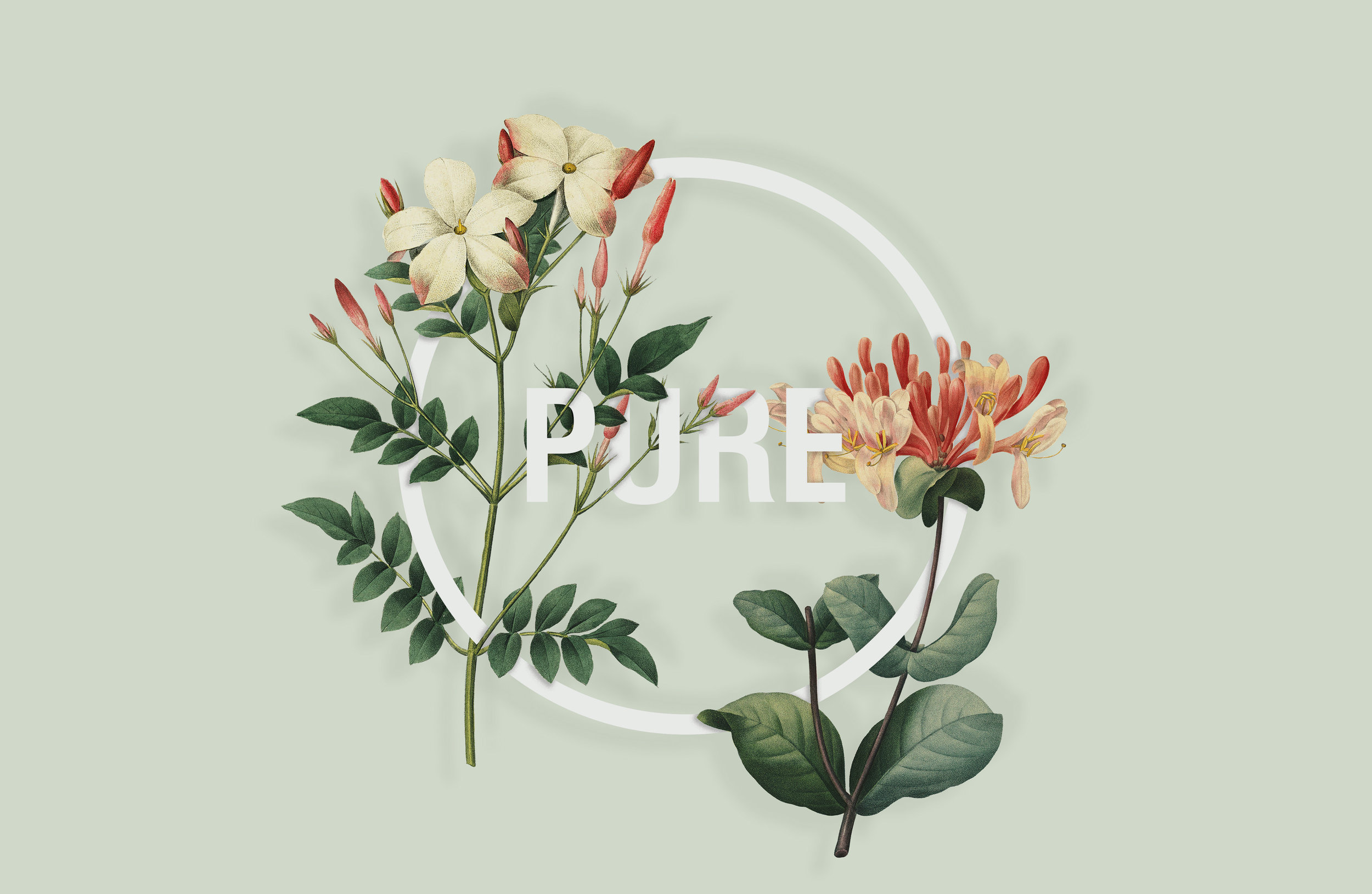 cover-lowres-green.jpg