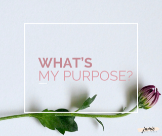 What's My Purpose?