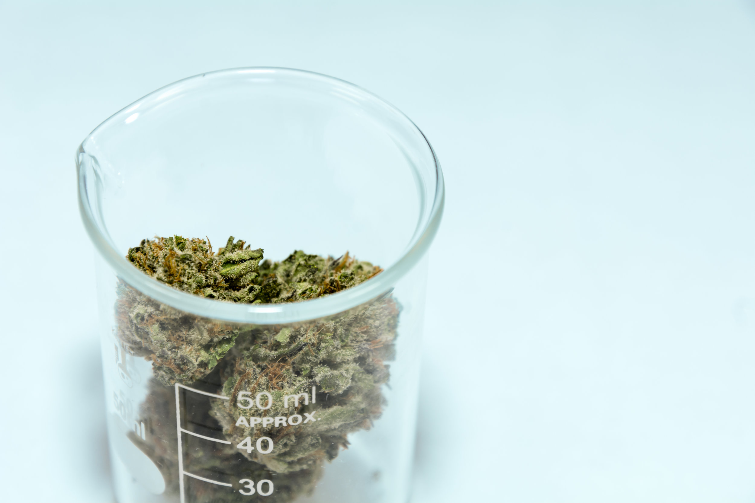 AdobeStock_145320299.jpeg