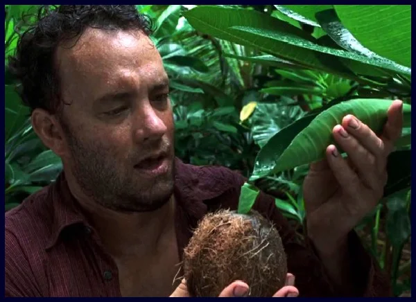 BVToting Water Coconut.jpg