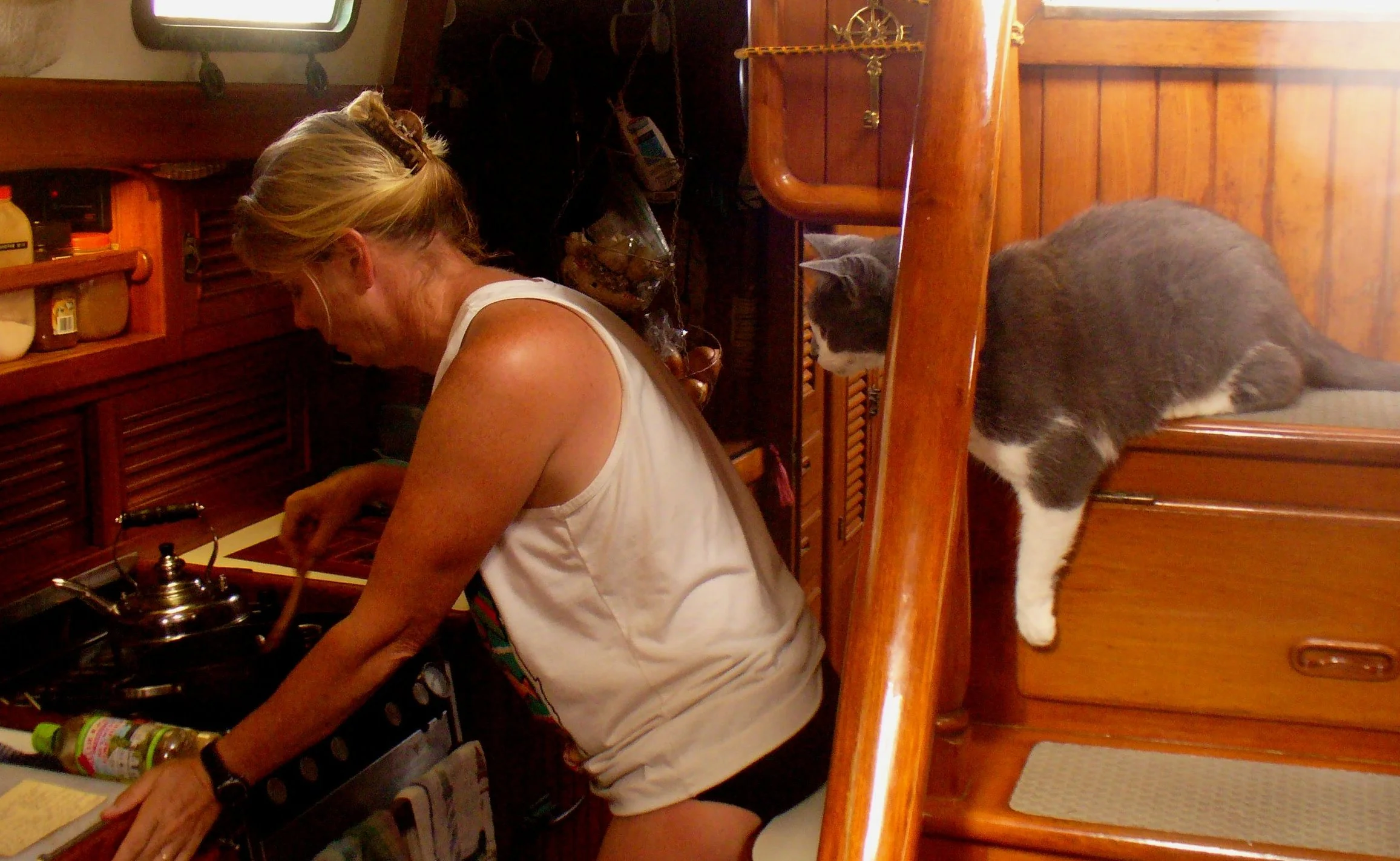 FAQ-satlan watching mom cook.jpg