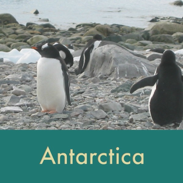 Antarctica