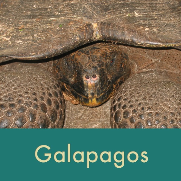 Galapagos