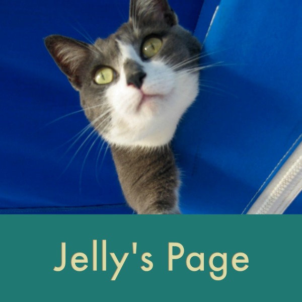 jellys page thumb.jpg