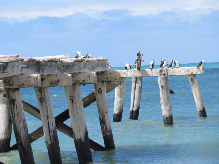 the eucla jetty
