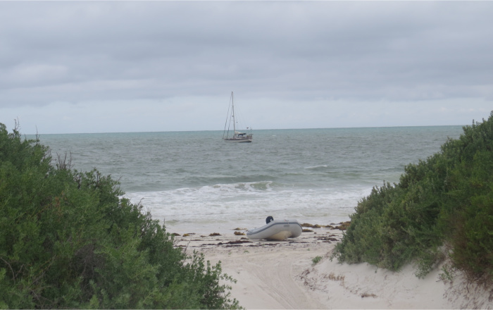 Cups at anchor off eyre