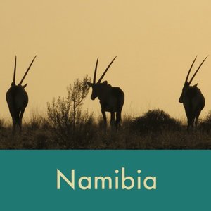 namibia+thumb.jpg