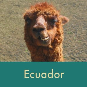 ecuador+thumb.jpg