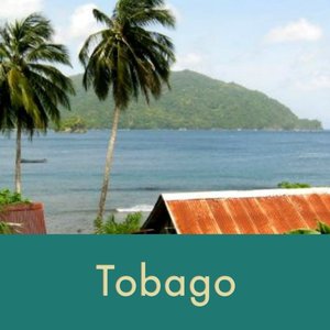 tobago+thumb.jpg