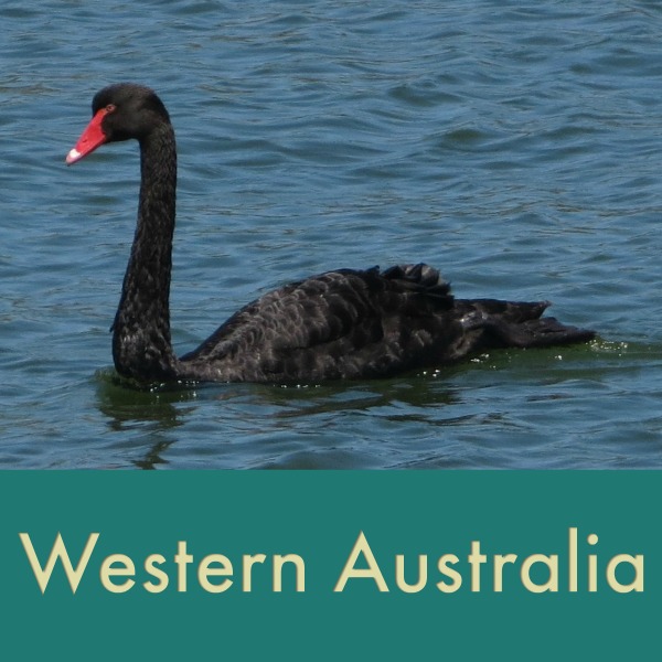 Western Australia