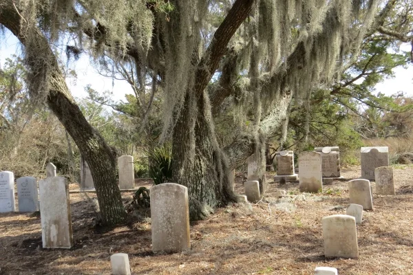 The Old Man's Beard (Spanish moss) draped on the live oak lent an eerie air to the graveyard.
