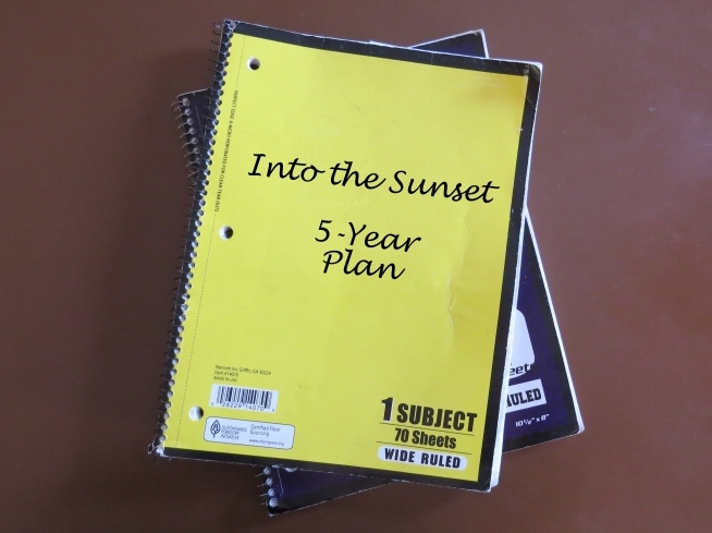  Write it down ... the dream becomes more real when you see the way to attain it.