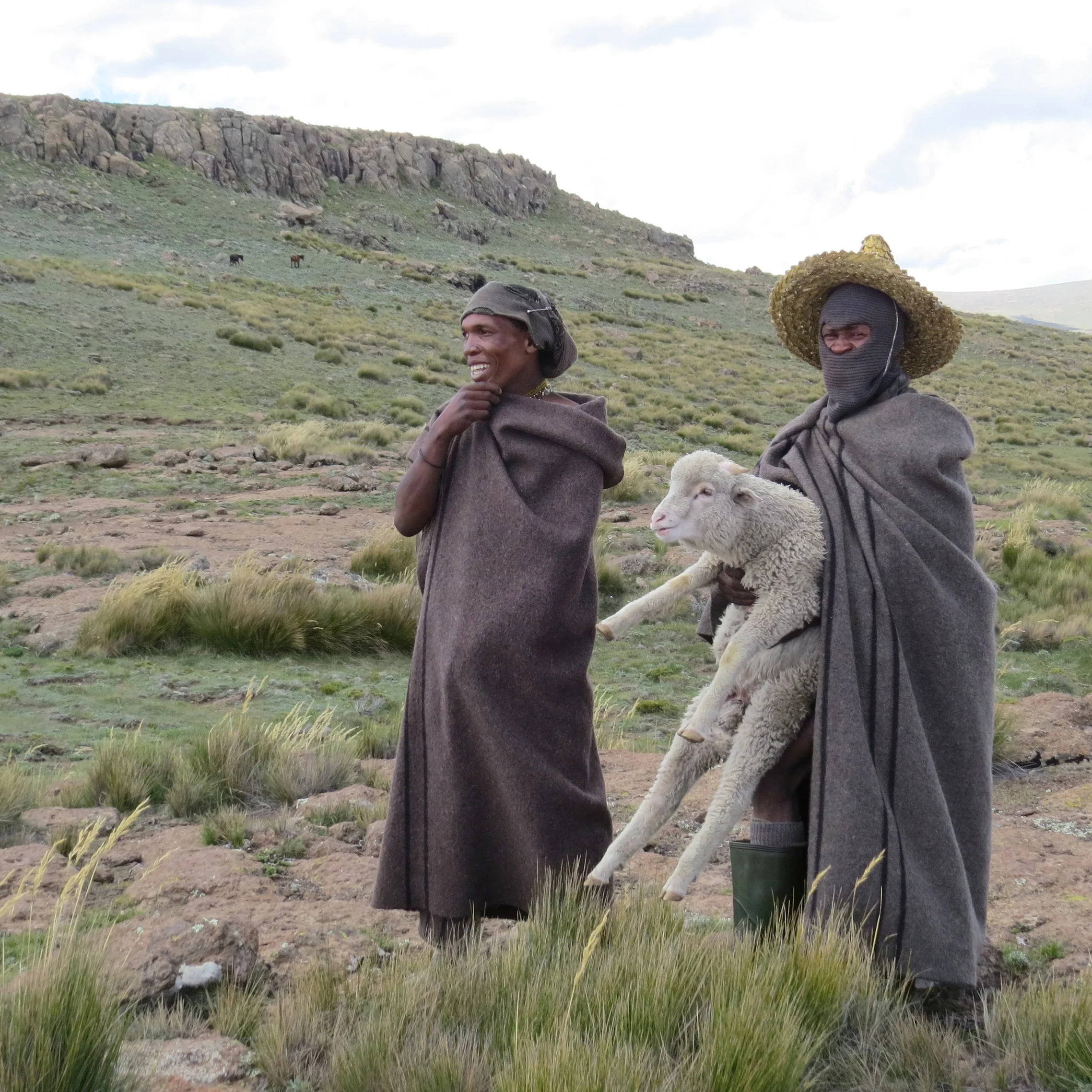 The shepherds were proud to show us their sheep.