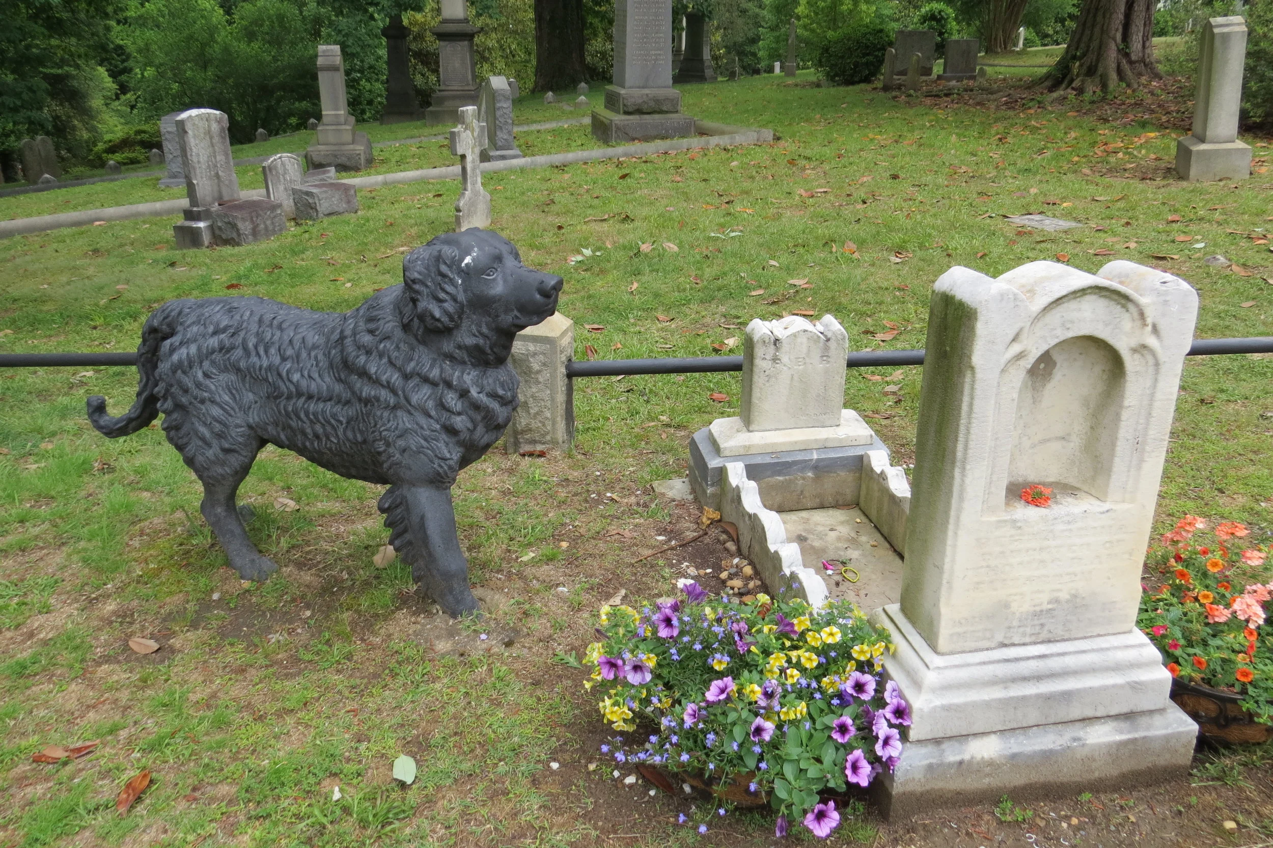 The most touching marker was the faithful "Iron Dog" standing sentry over a child's grave.