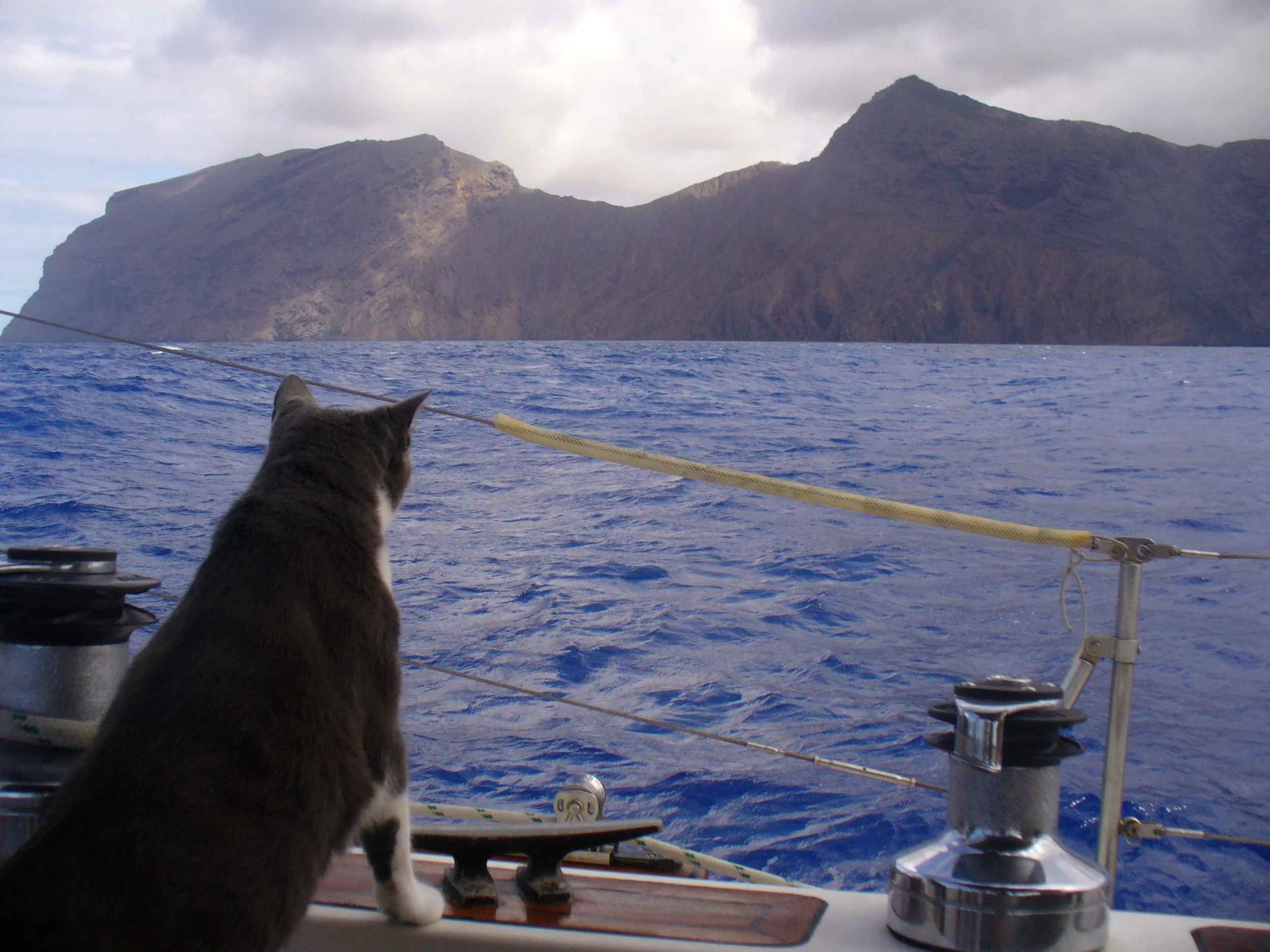 jelly-approaching st helena.JPG