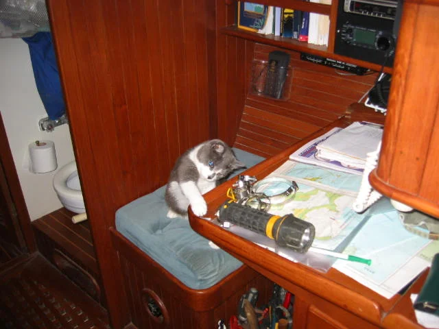 If the captain should put anything at all on his nav station that makes a good noise or fits into a cat’s mouth, it should be removed to the floor immediately, swatted, then hidden. Remove, swat, hide!