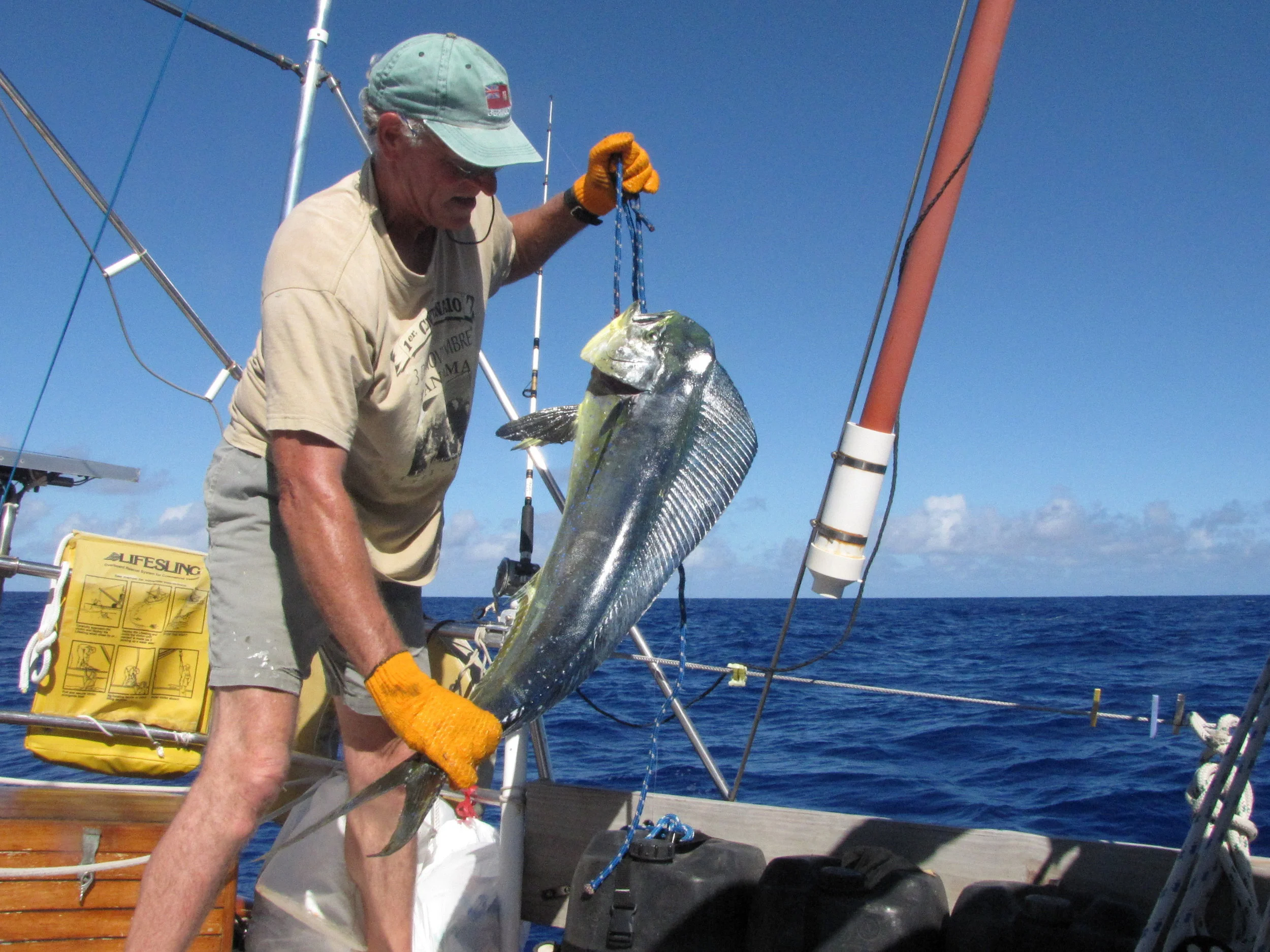Blue View - Fishing Aboard