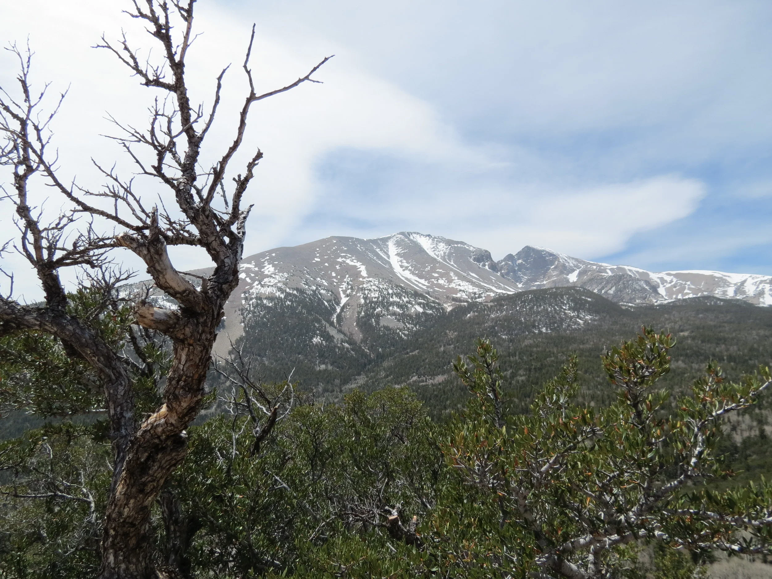 Great Basin National Park - Nevada - 2012