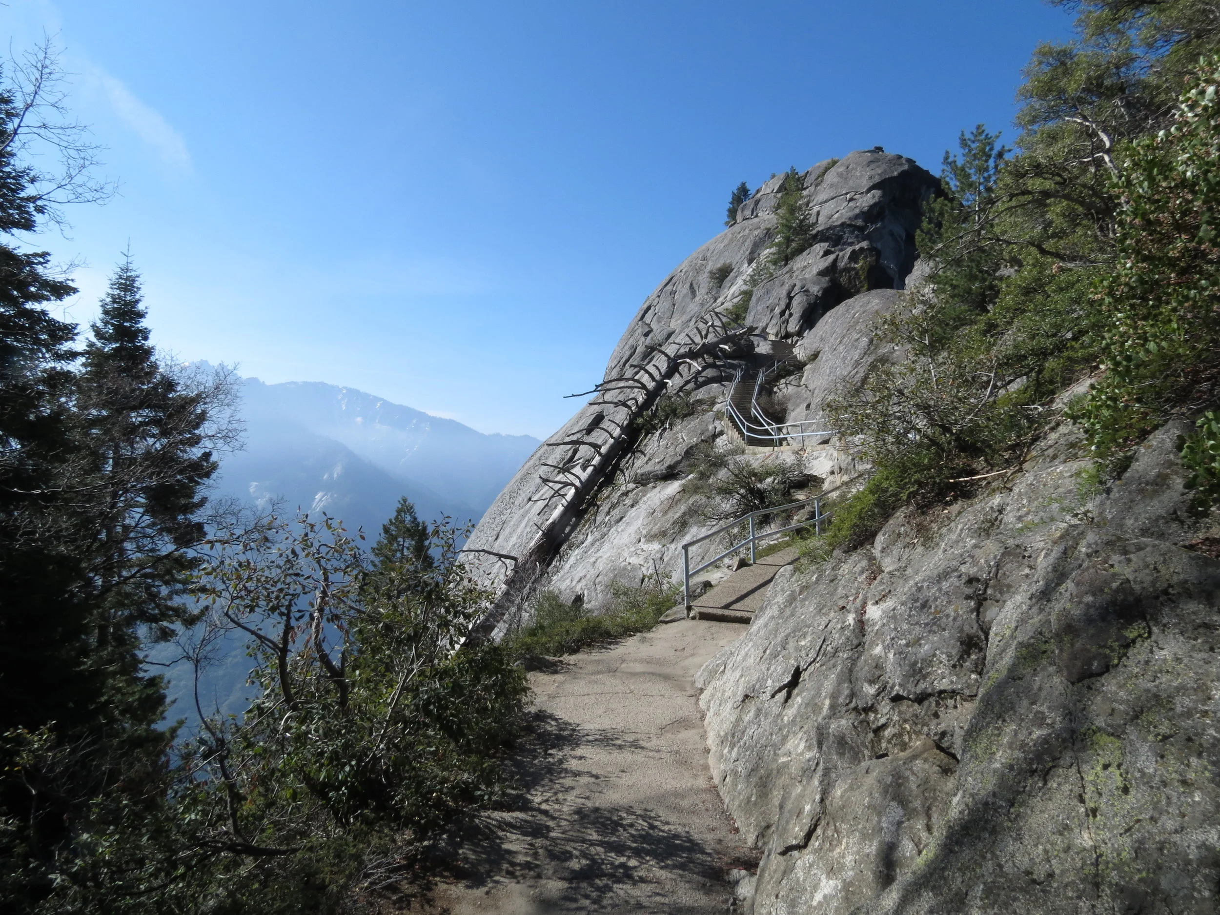 Sequoia National Park - California - 2012