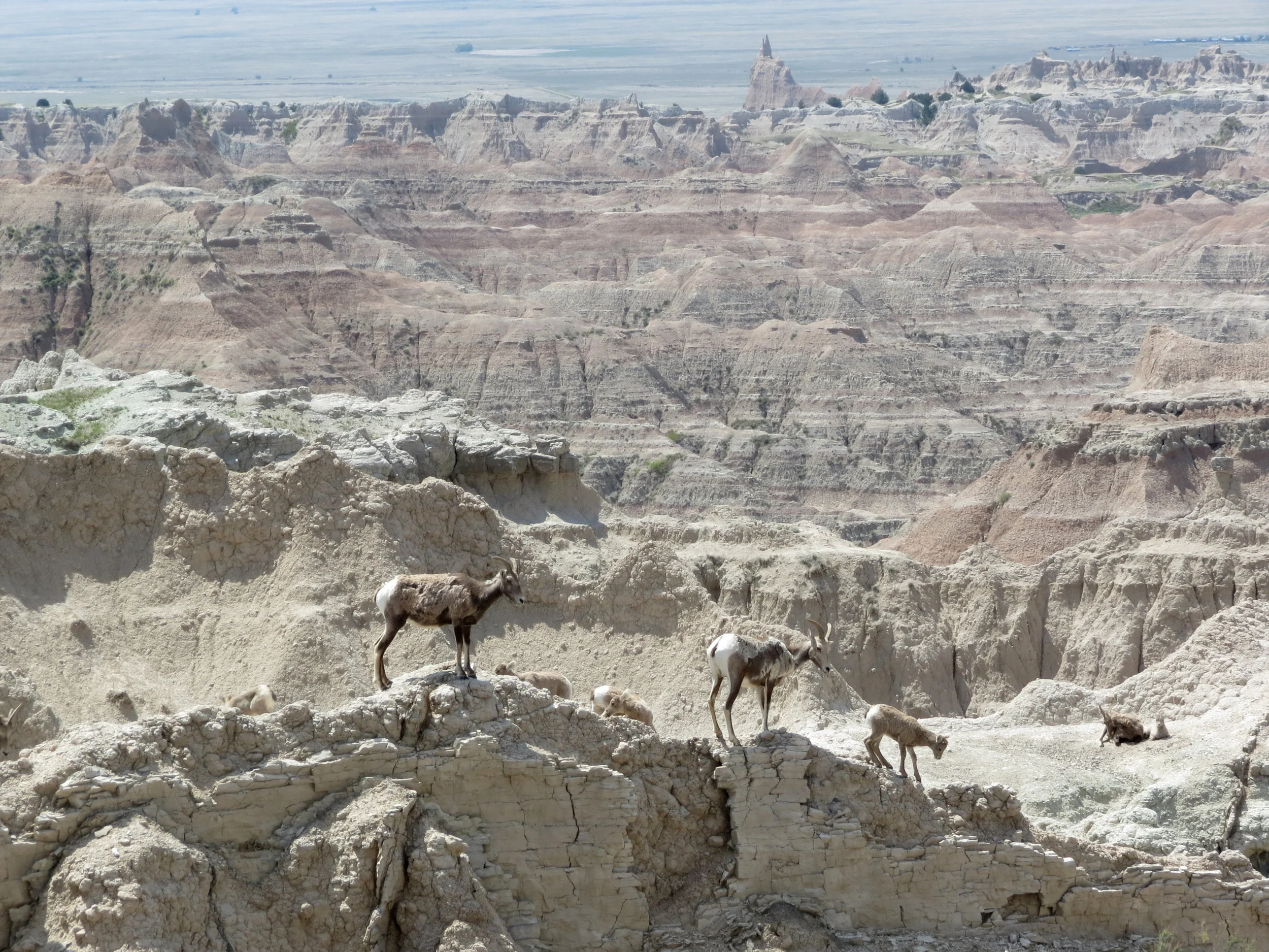 badlands national park - South dakota - 2012