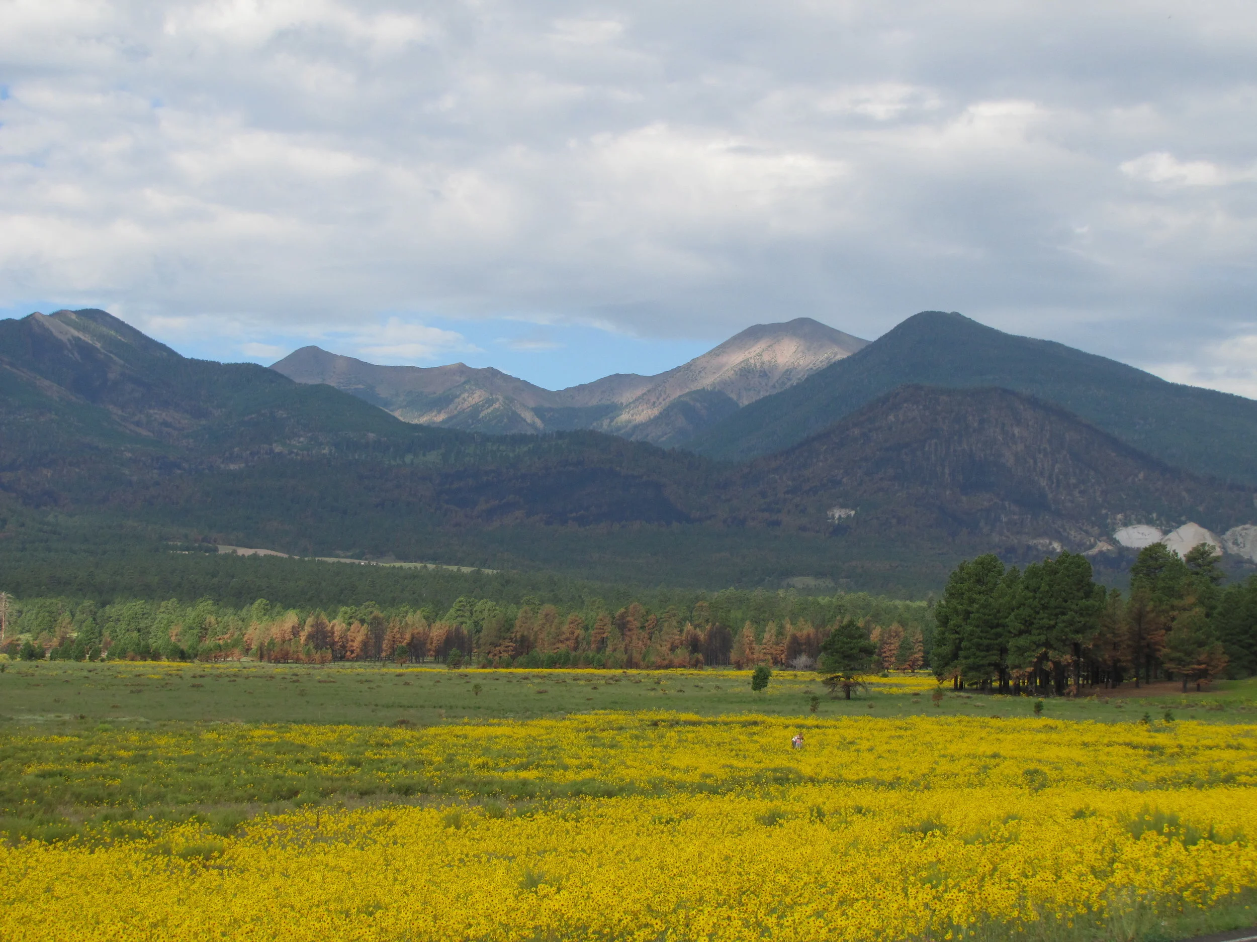 sunset crater volcano national monument - arizona 2010